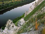 Фотография из галереи