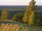 Фотография из галереи