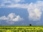 Фотография из галереи