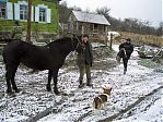 Фотография из галереи