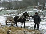 Фотография из галереи